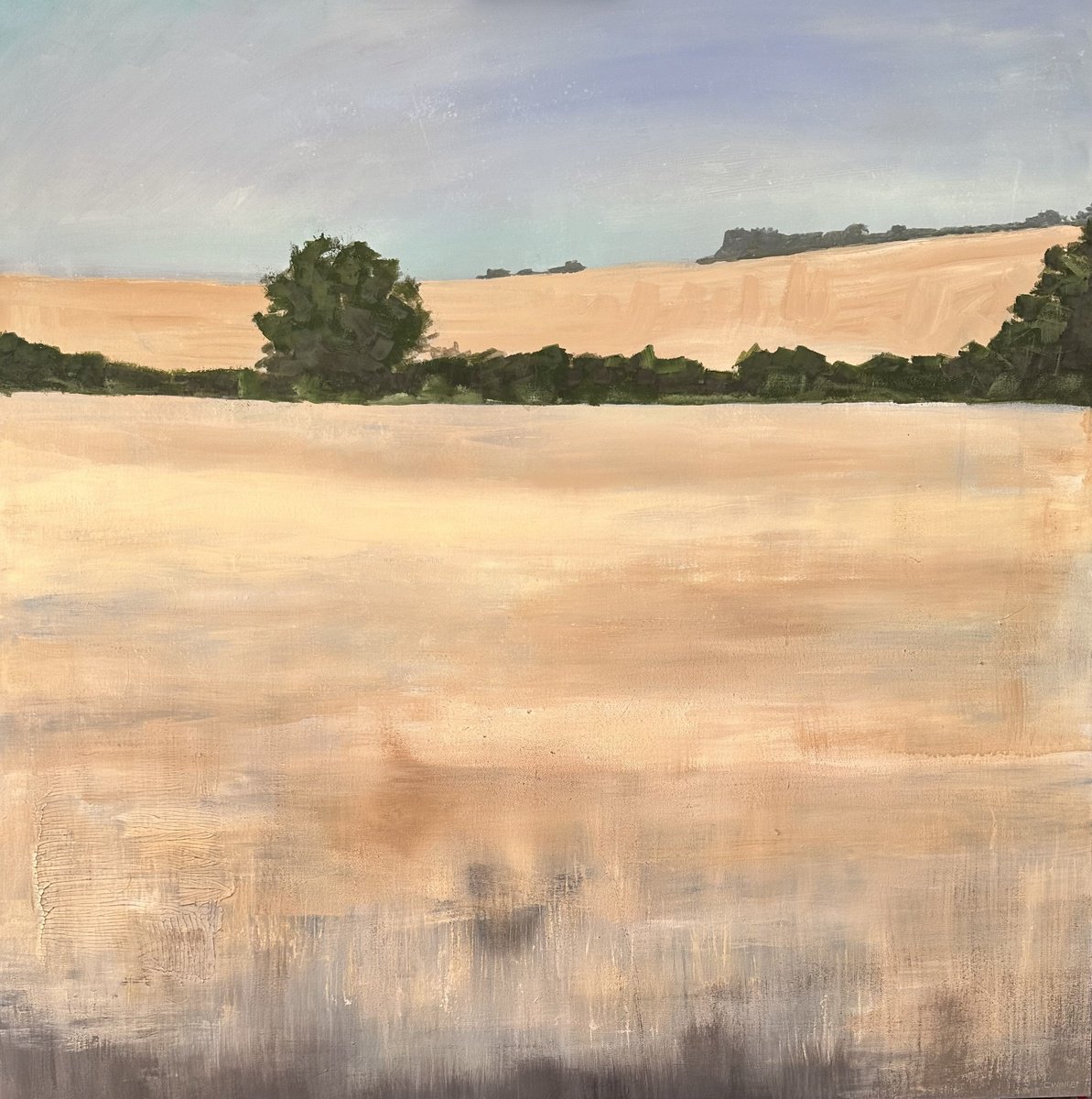 Impressionistic Landscape Acrylic Painting By Catherine Winget, 39 X 39, Summer Meadows 6 - Flitcham, Norfolk, England., Artfinder