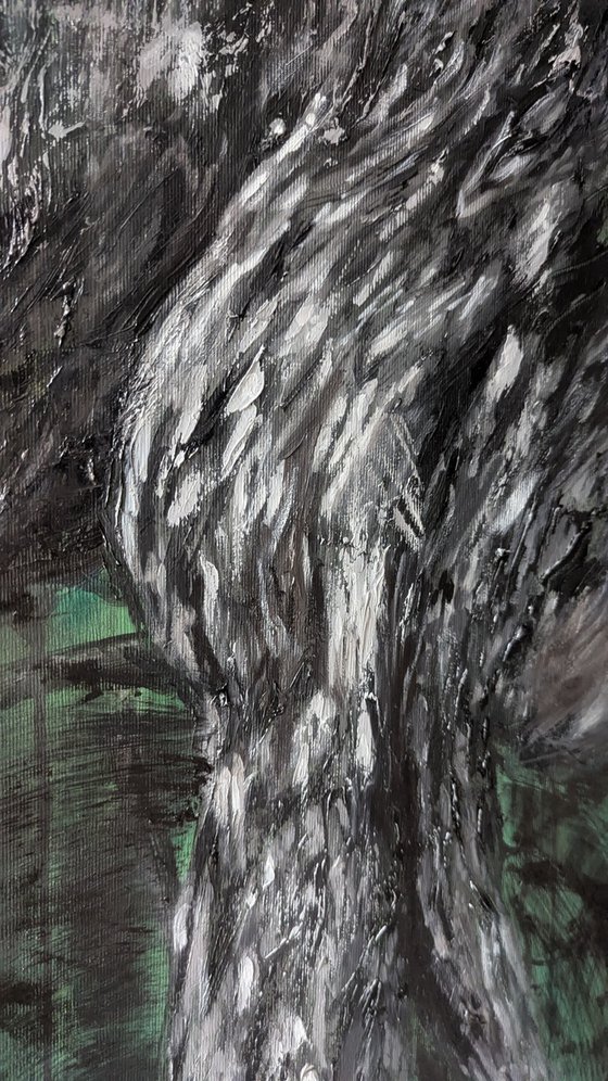 Rooted