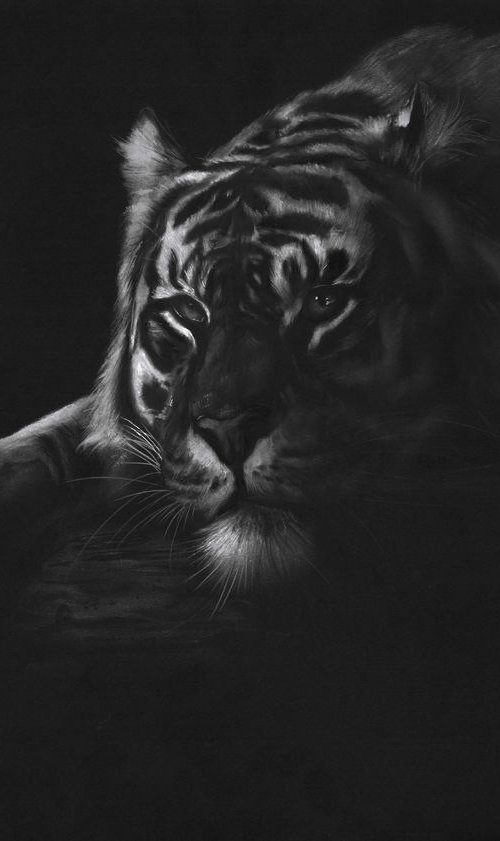 Tiger In The Darkness by Danguole Serstinskaja