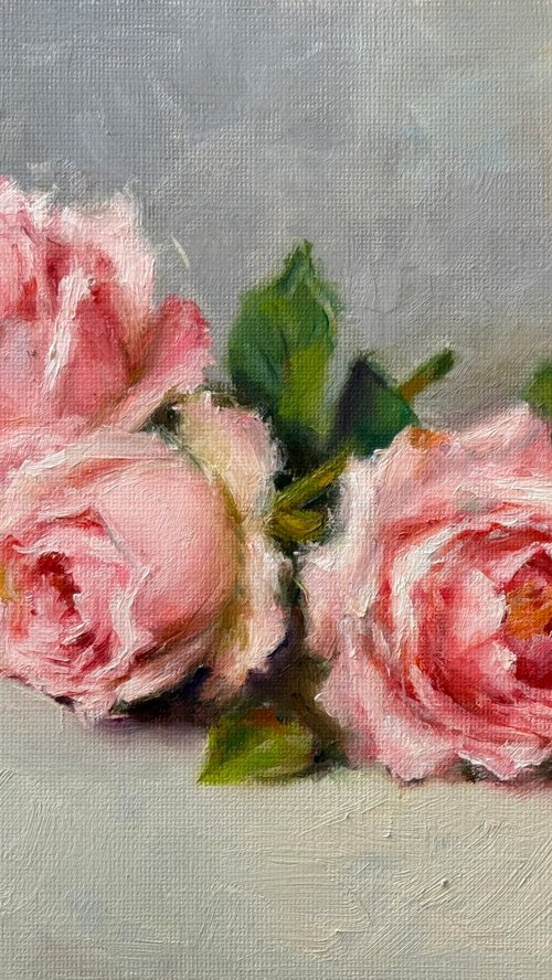 Rose flowers by Farzaneh Maddahi