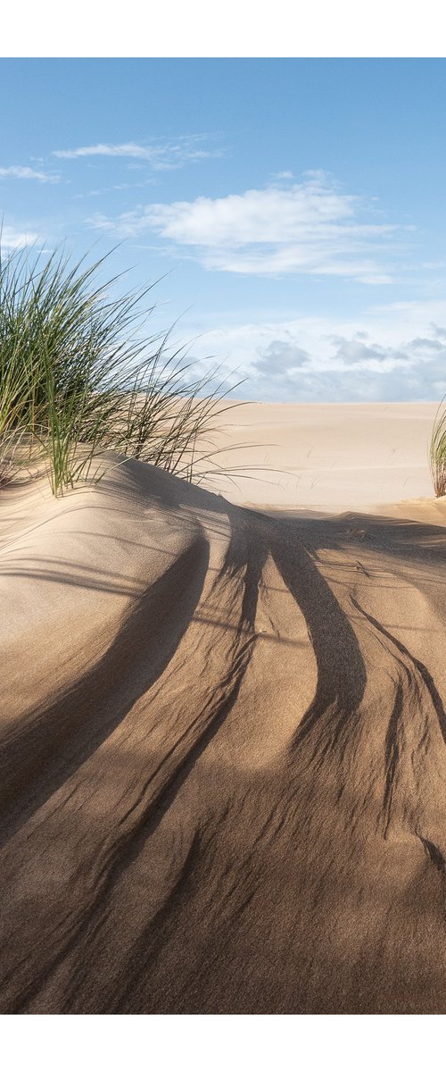 September Days - Grass II by David Baker