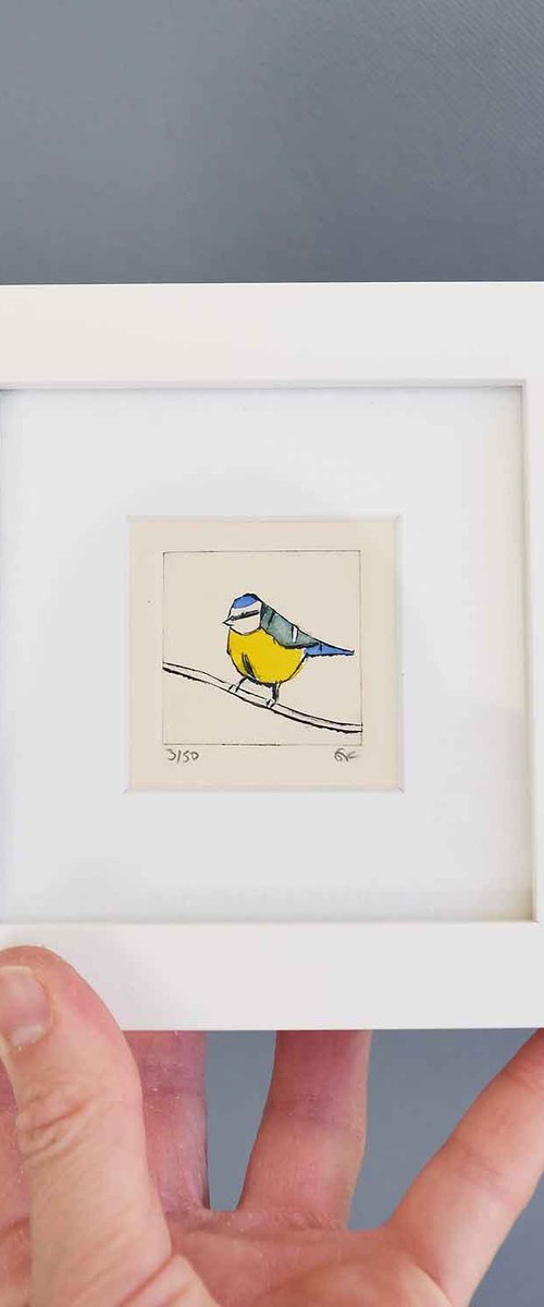 Mini framed bluetit by Sally Fisher