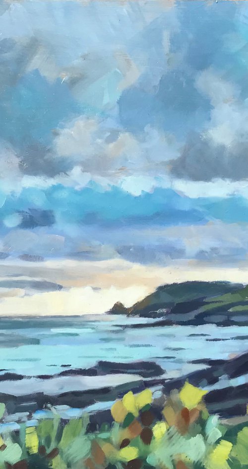 Booby’s Bay, After The Storm by Emma Dashwood