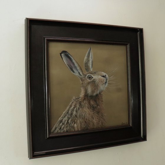 Portrait of a Hare III