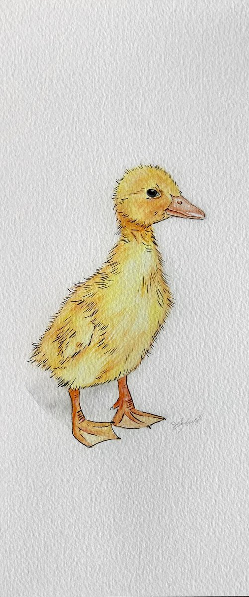 Yellow duckling by Amelia Taylor