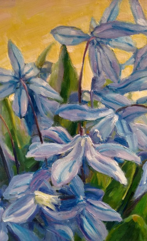 Scilla by Valentina Andrukhova
