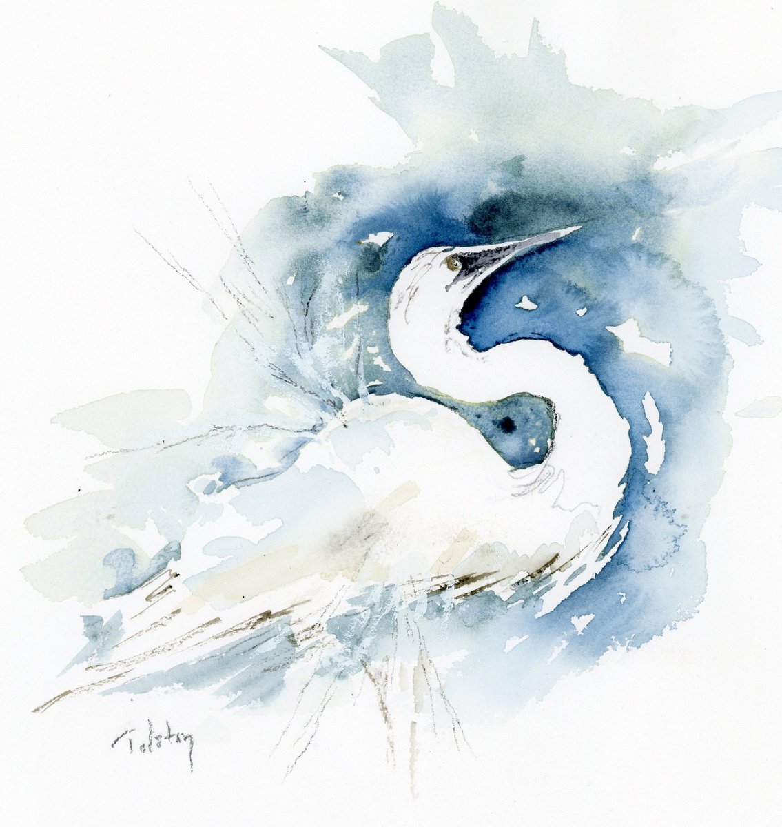 Impressionistic Animal Watercolour By Alex Tolstoy, 14 X 14, Snowy Egret, Original Artwork