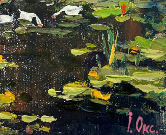 Geese in the lake