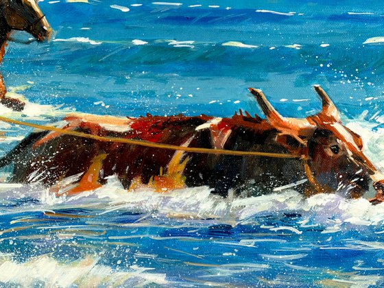 Paniolo — Cattle Through the Surf