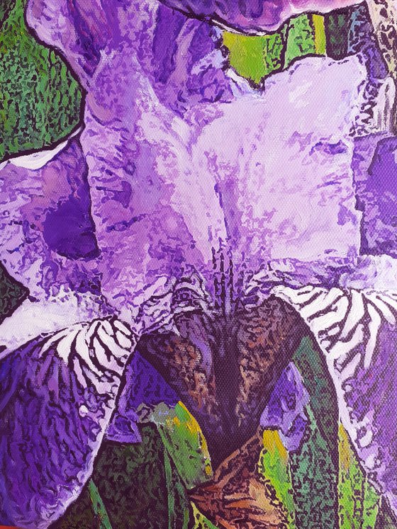 SUMMER RAIN / IRISES