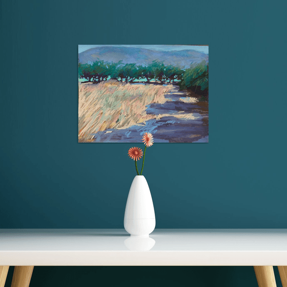 Olive trees