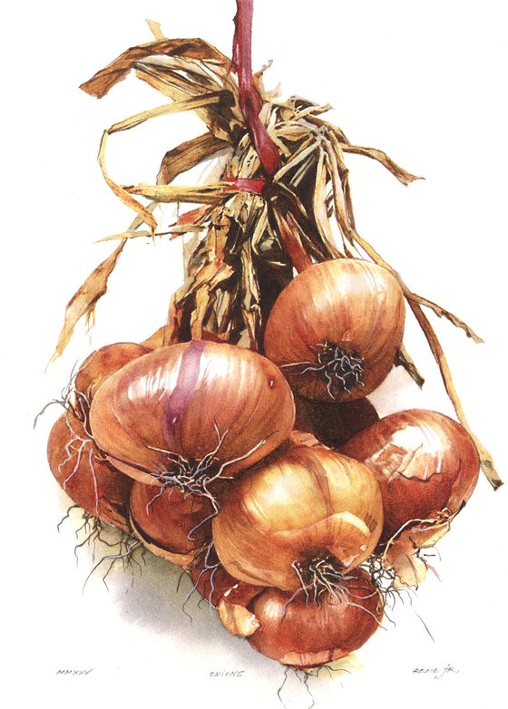 Onion