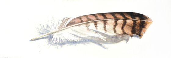 Feather