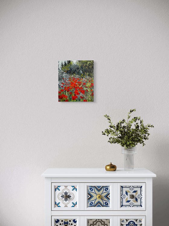 Poppies on grey background