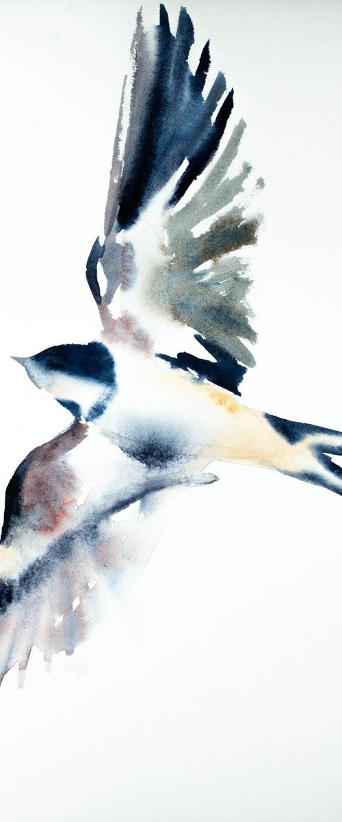 Swallow No. 18 by Elizabeth Becker