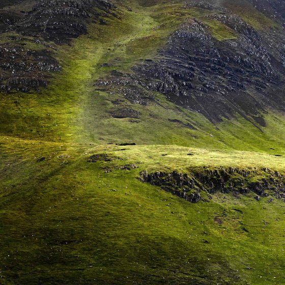 Hill of the Red Fox