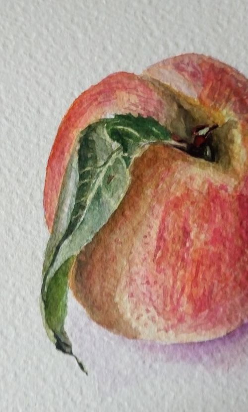 Peach. by Mag Verkhovets