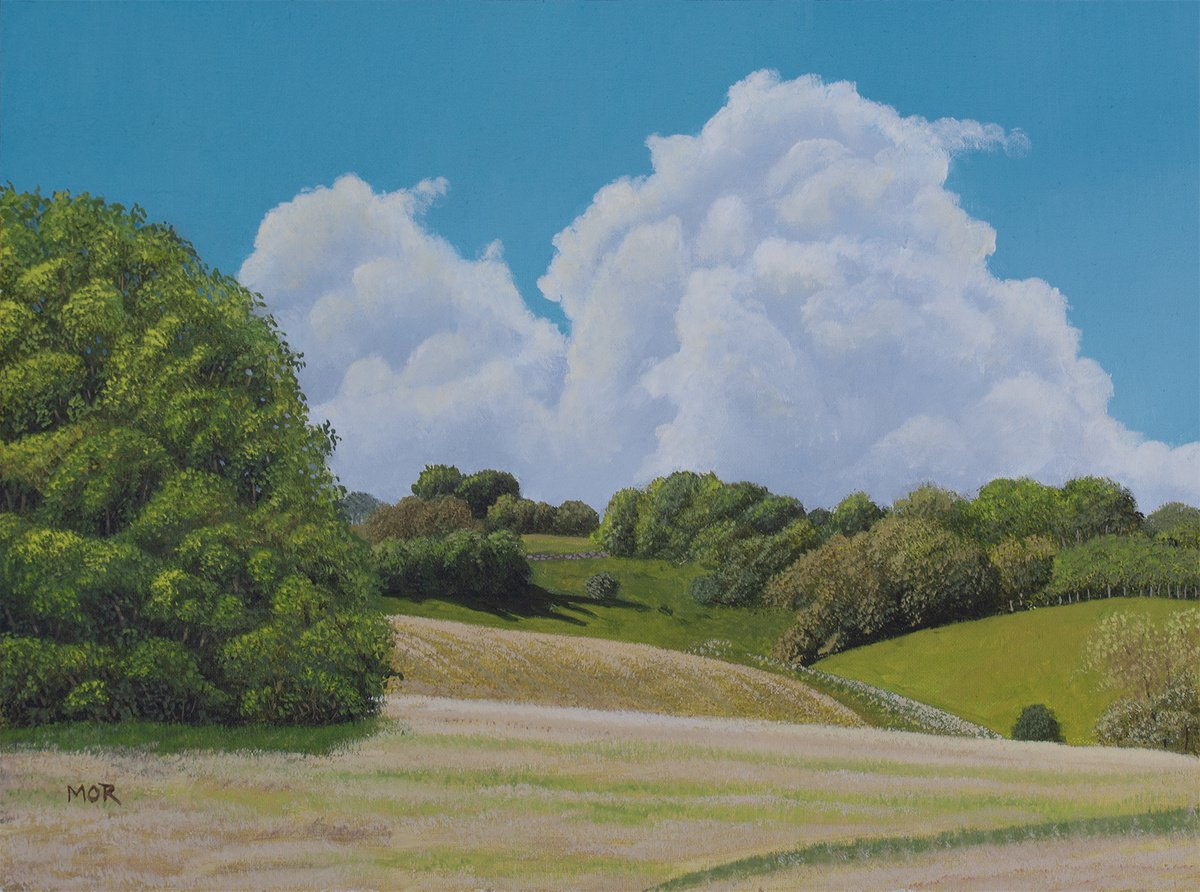 Rural Summer Landscape by Dietrich Moravec