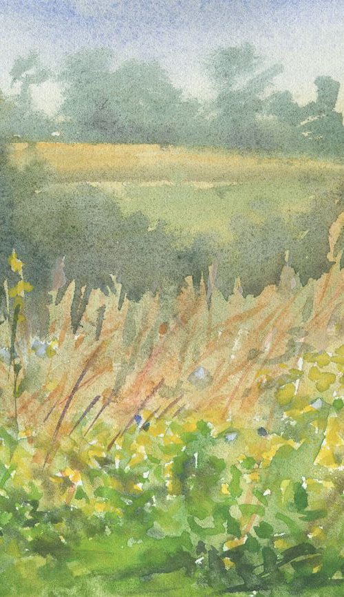 Summer grassland / Watercolor landscape Rural scenery by Olha Malko