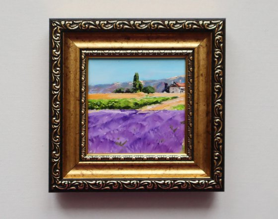 Lavender Fields Scene