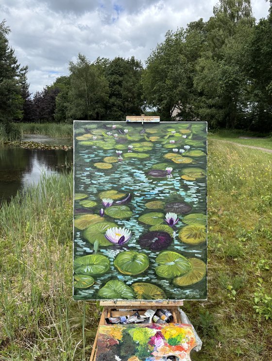 Water Lilies in the Sunlight