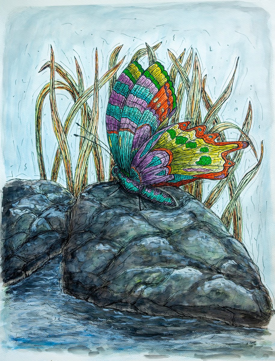 Photorealistic Animal Watercolour By Kim Jones Miller, 16 X 20", Contemplation, Original Artwork