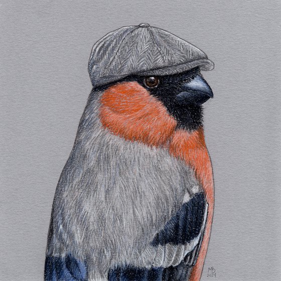 Eurasian bullfinch