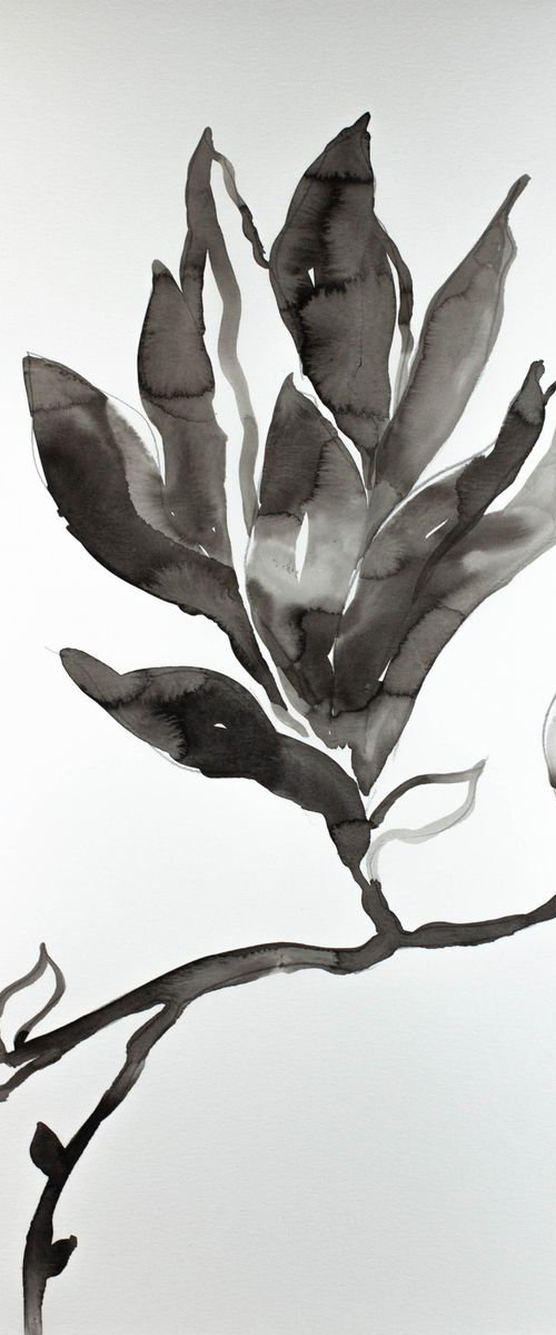 Magnolia No. 21 by Elizabeth Becker