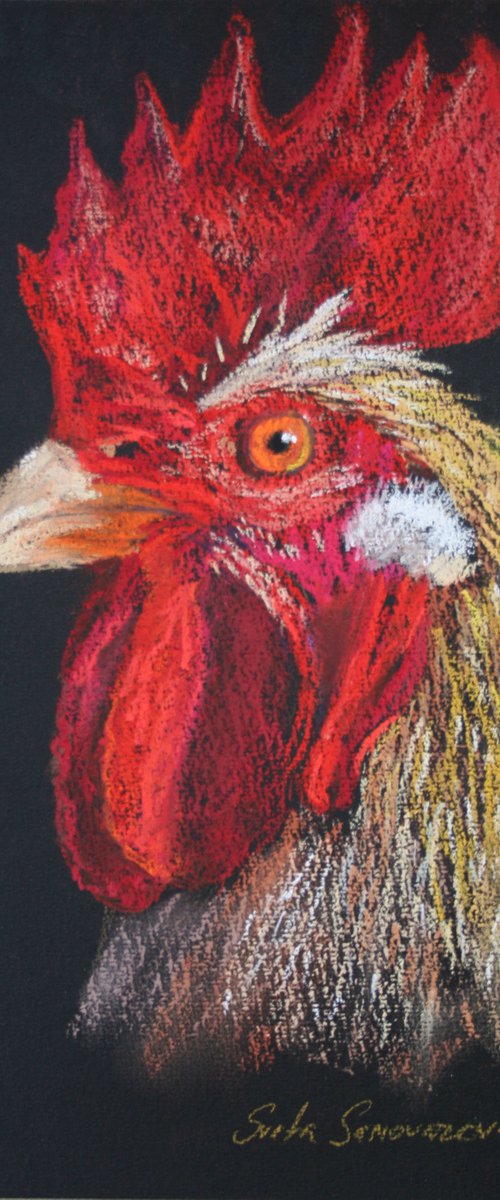 Rooster V - Pet portrait /  ORIGINAL PAINTING by Salana Art Gallery