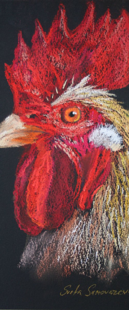 Rooster V - Pet portrait /  ORIGINAL PAINTING by Salana Art / Svetlana Samovarova