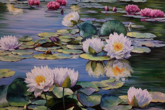 "Petals on the Water"