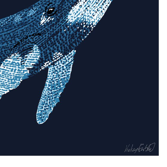 Humpback Whale - Stippling Illustration