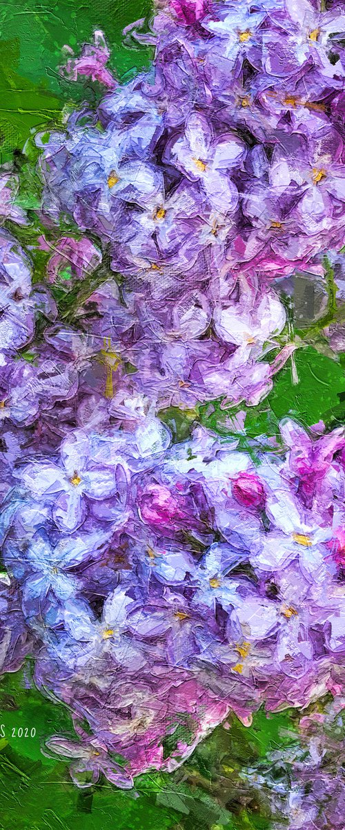 Lilacs by Barbara Storey