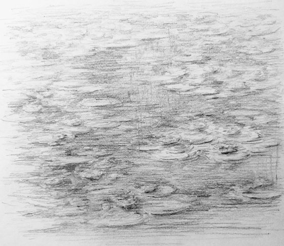 Water lilies. Sketch #1. Original pencil drawing.