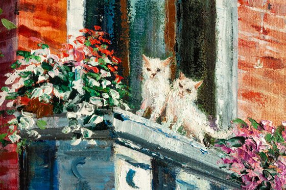 "Cats in the city" old town , cityscape, balcony flower