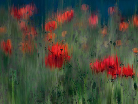 Amapolas 2/XL large original artwork