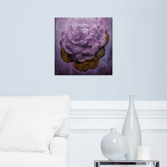 Purple Cabbage