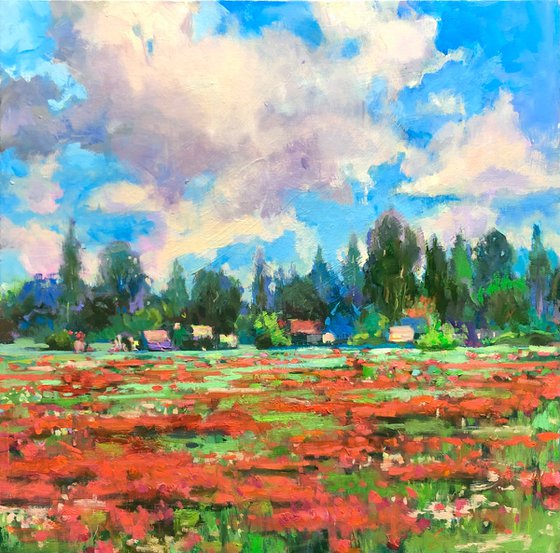 Happy Poppy-land