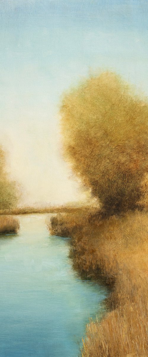 Blue Wetlands 251230 by Don Bishop