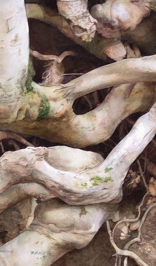 TREE ROOTS by REME Jr.