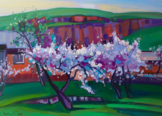 Spring landscape