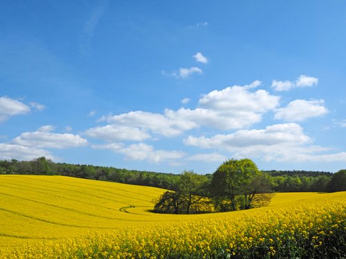 Springtime in the Meon Valley 2 by Alex Cassels