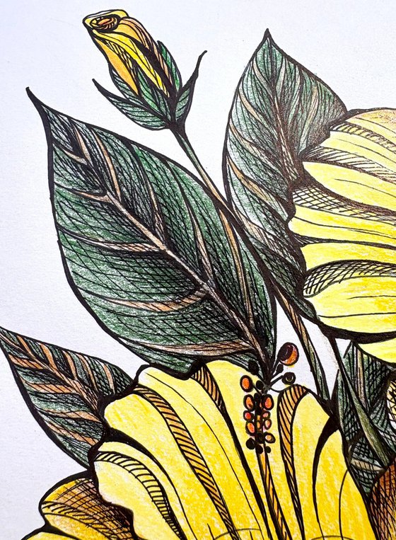 YELLOW HIBISCUS DRAWING