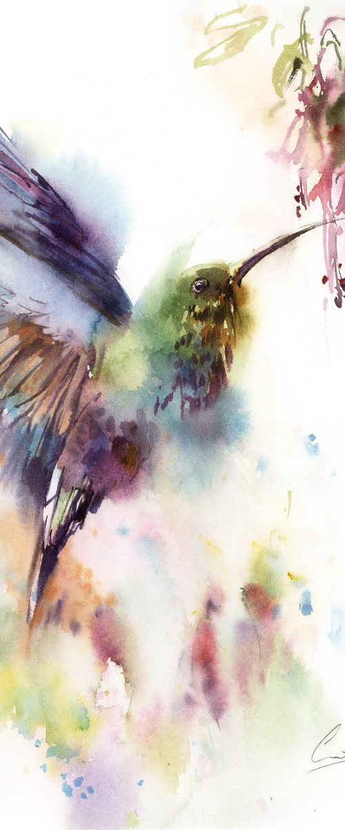 Hummingbird by Sophie Rodionov