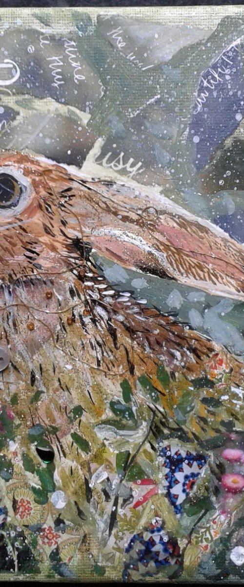Meadow Hare by Fiona Plaisted