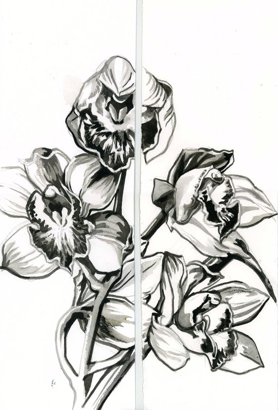 orchid brush drawing diptych