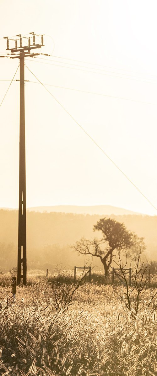 Grass Plains Outback Australia #3 by Nick Psomiadis