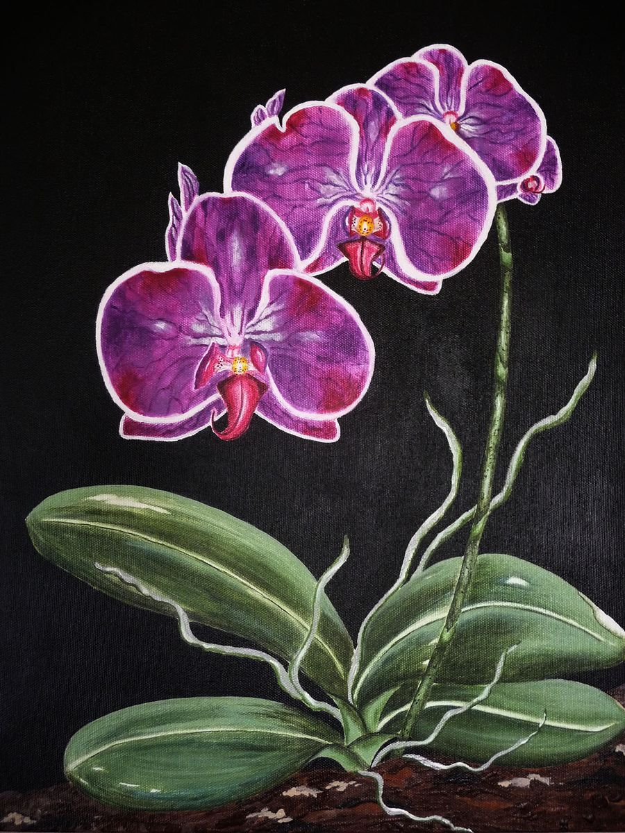 Purple Phalaenopsis Orchid Acrylic Painting Acrylic painting by