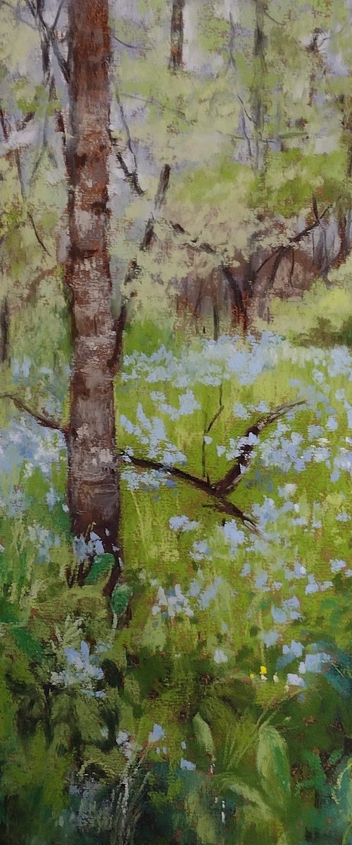 Spring Woods by Joanne Carmody Meierhofer