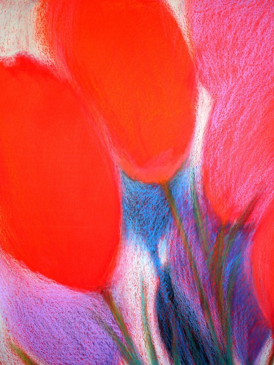 Tulips Red 7